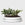 Public Goods Stoneware Succulent Planter (Case of 3)