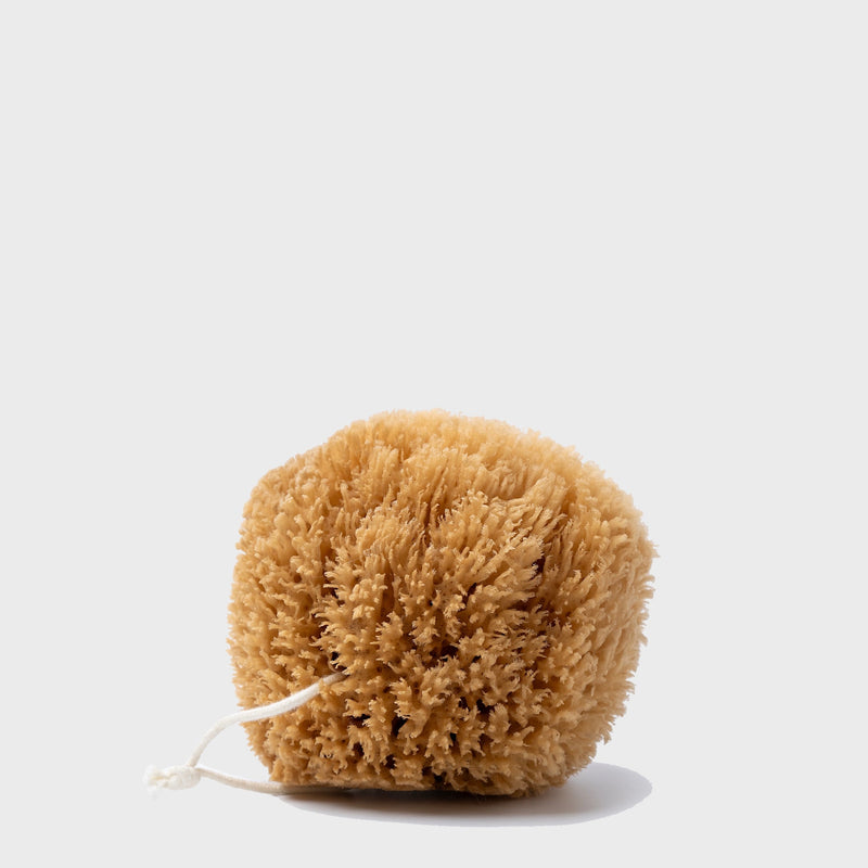 Exfoliating Sea Sponge (case of 24)