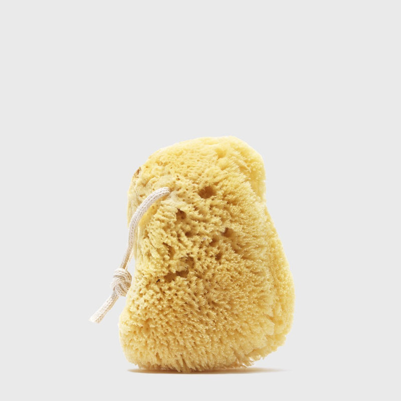 Public Goods Personal Care Sea Sponge 1 ct (Case of 48)