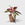 House Plant Dropship Indoor Plants Stromanthe Triostar 4